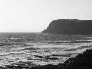 Traitement punaises de lit Le Moule